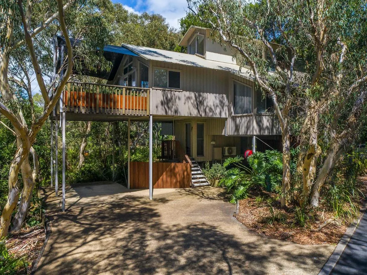 The Oasis Apartments And Treetop Houses Byron Bay