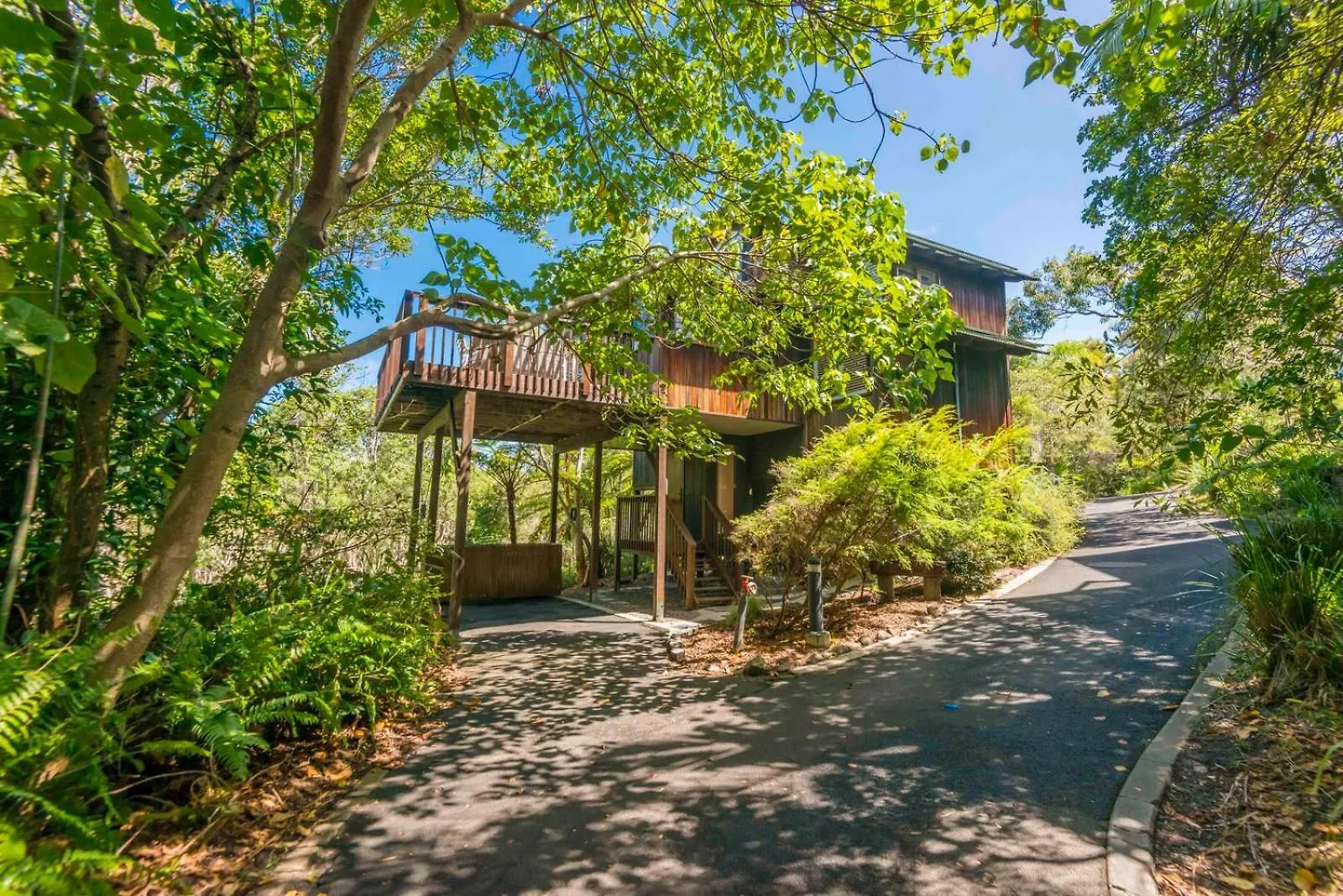 The Oasis Apartments And Treetop Houses Byron Bay Aparthotel